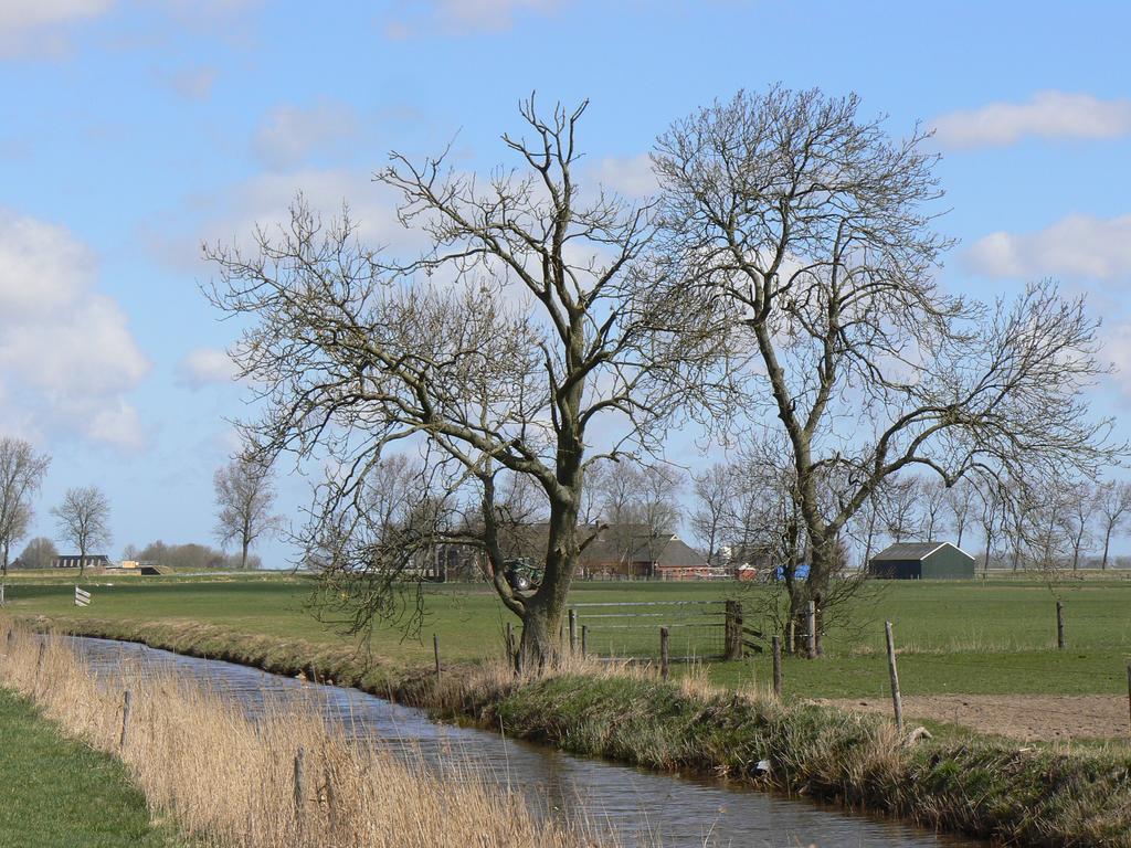 Groningen Buiten B&B Zuidhorn Exteriör bild