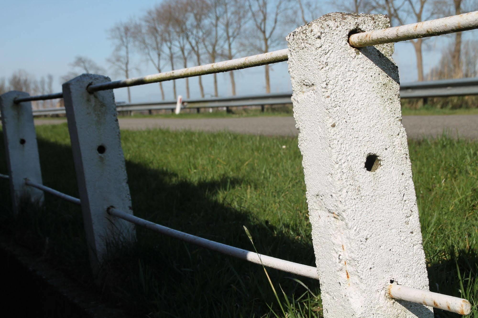 Groningen Buiten B&B Zuidhorn Exteriör bild